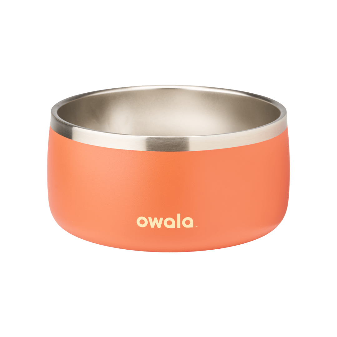Pet Bowl SPWT