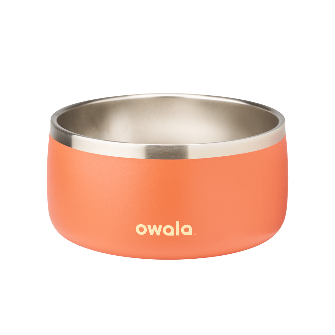 Pet Bowl SPWT