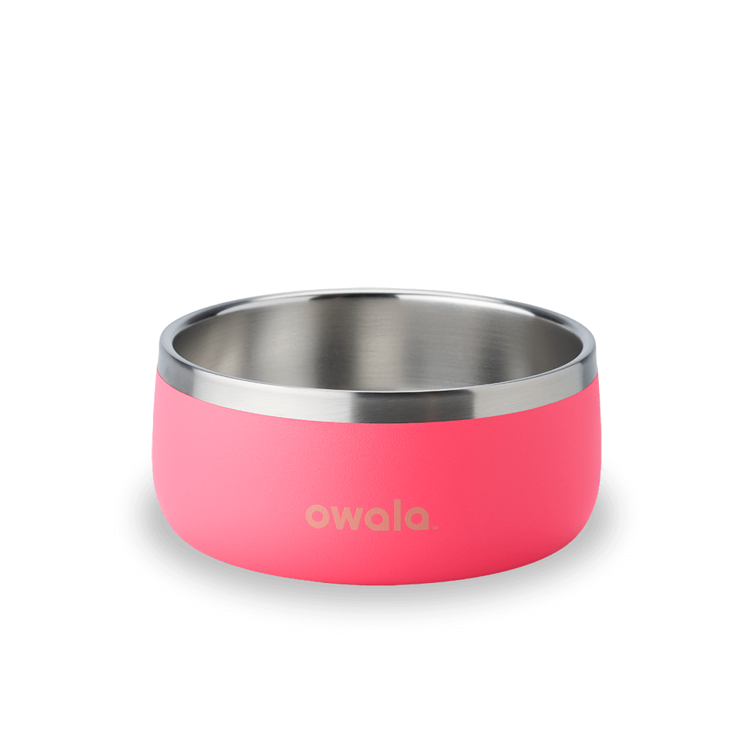 Pet Bowl SPWT
