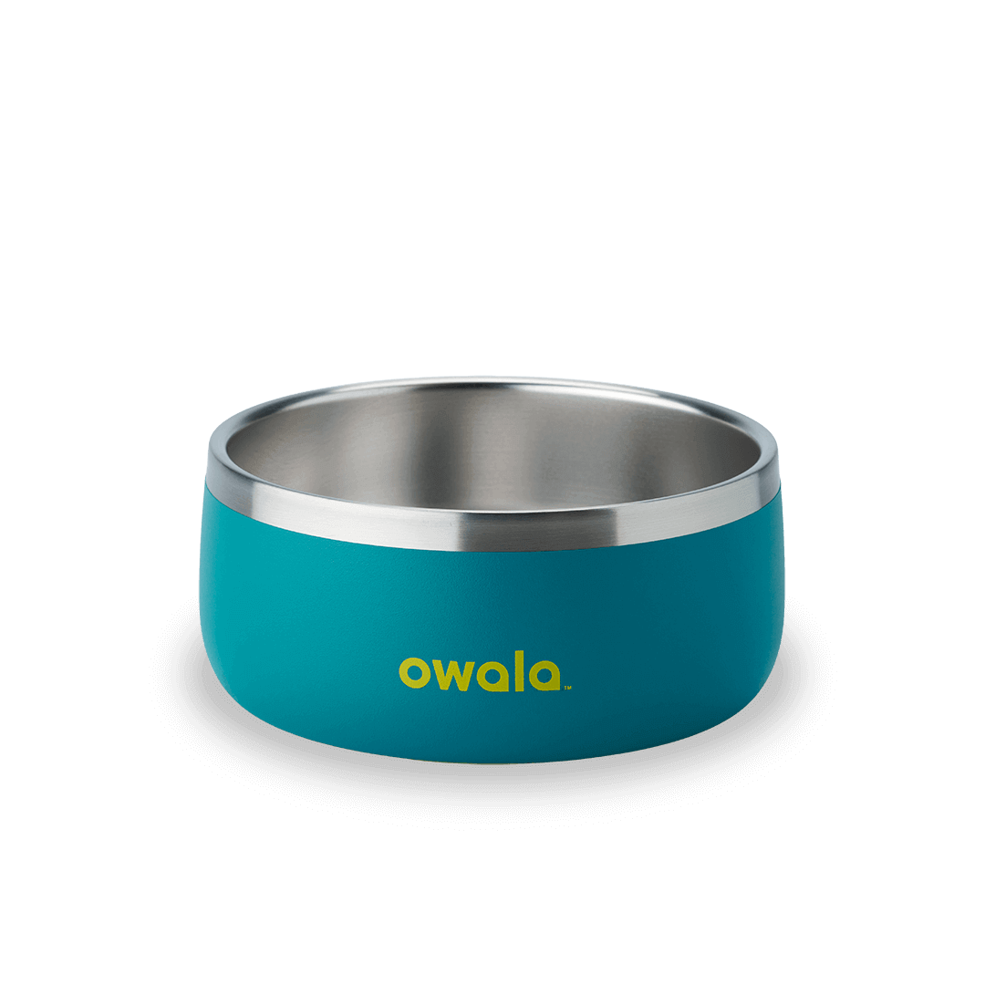 Pet Bowl SPWT