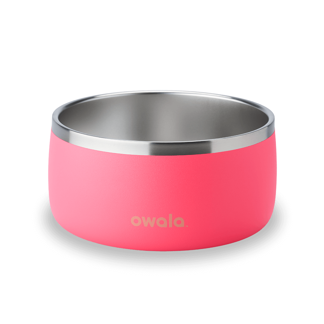 Pet Bowl SPWT