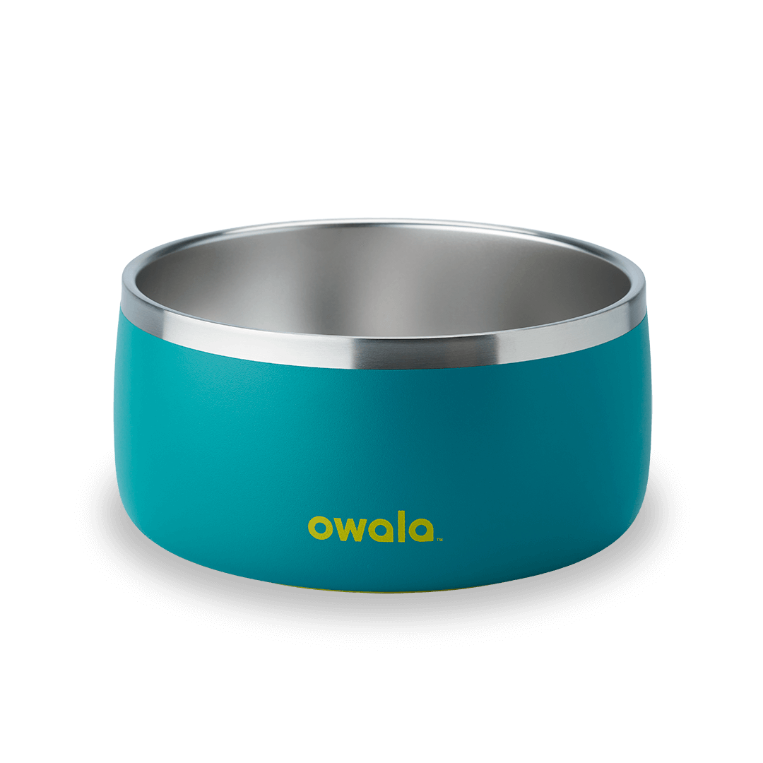 Pet Bowl SPWT